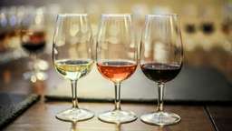 Top 5 Cities in Italy for Wine Tasting
