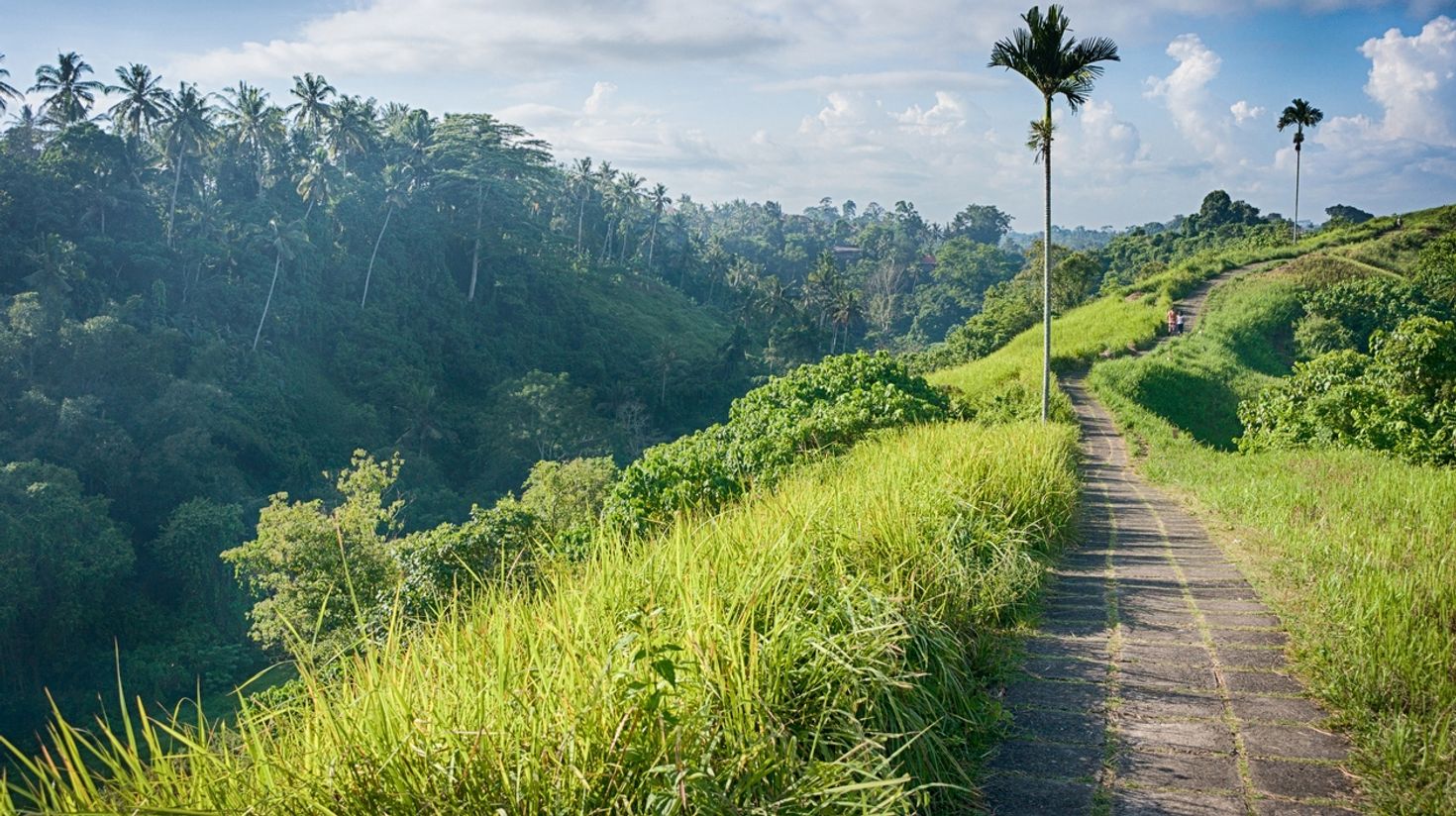 In Ubud, you will find the short and easy hike in Campuhan ridge.