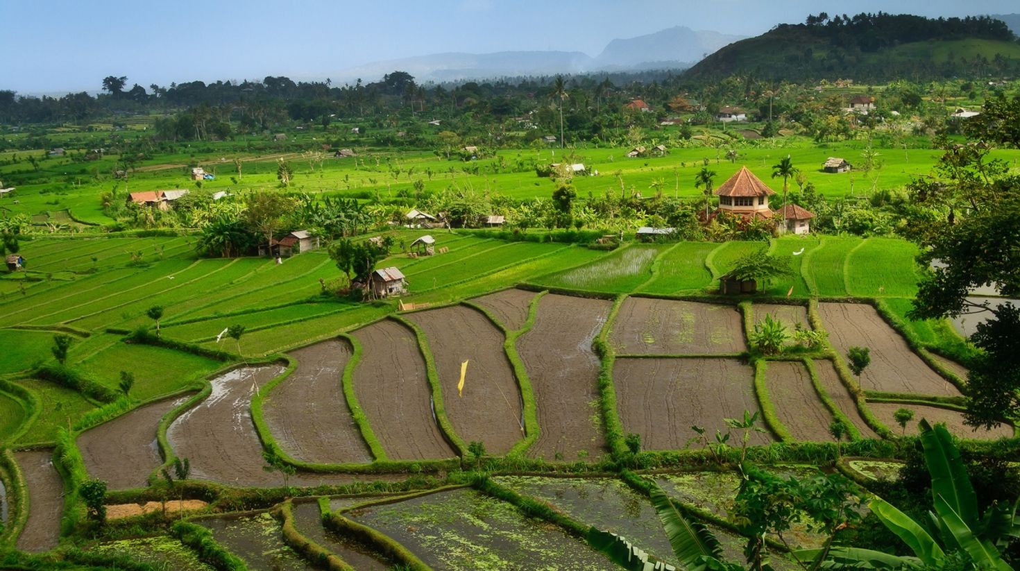 Hike in Bali through the old villages and rice fields in Candidasa