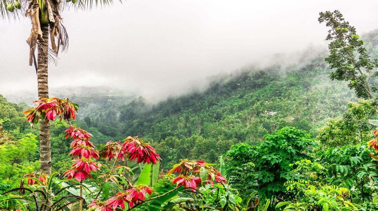 Munduk area is one of Bali's best areas for hiking.