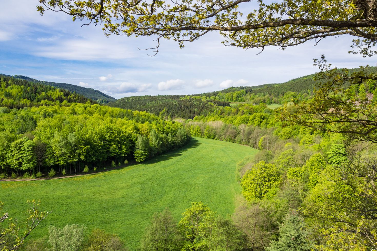 The Rennsteig is a rewarding trail for hiking in Germany
