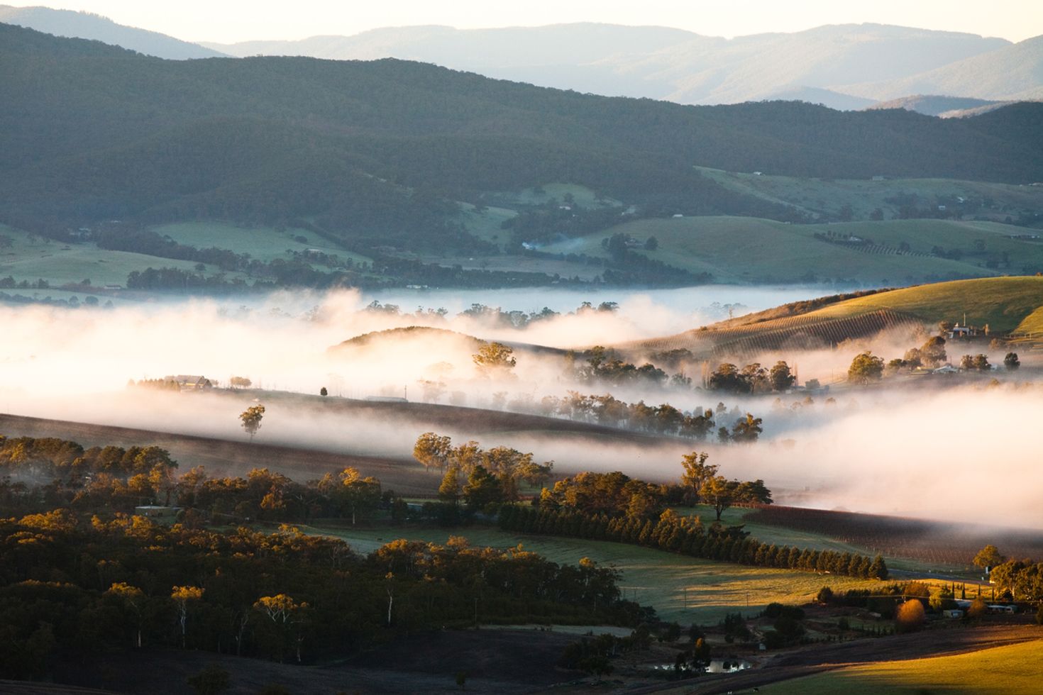 Best places to visit in melbourne Yarra valley