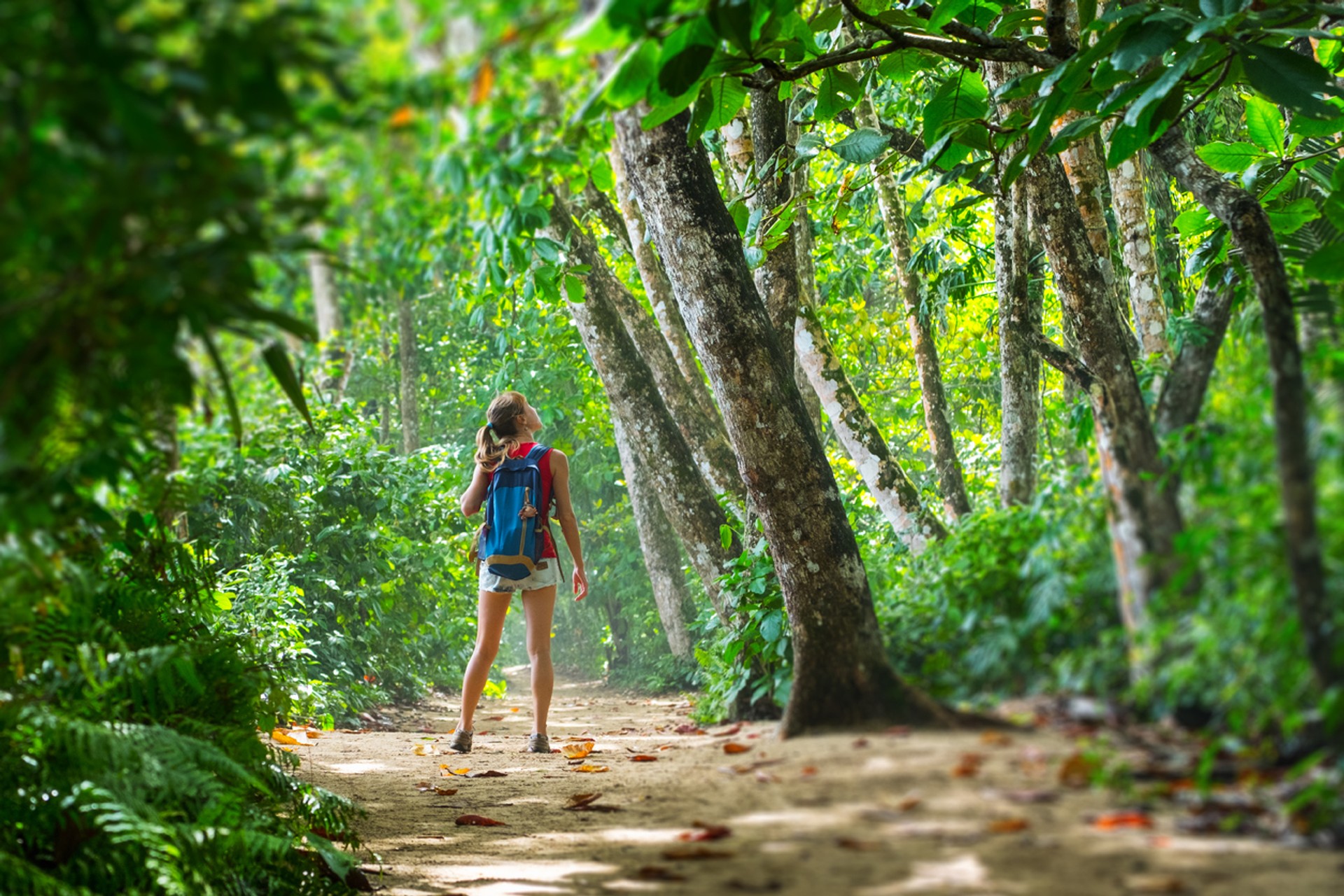 With lush rainforests and two coasts on either sides, Costa Rica has many beautiful places to explore. There are many amazing places to visit in Costa Rica