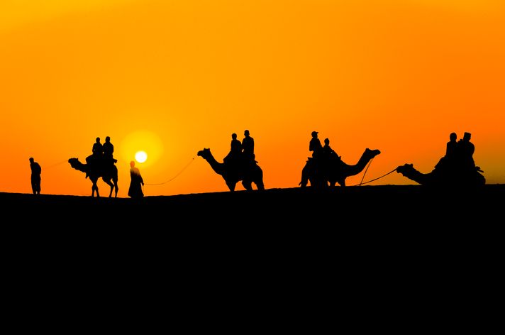 Camel Safari in Jaisalmer