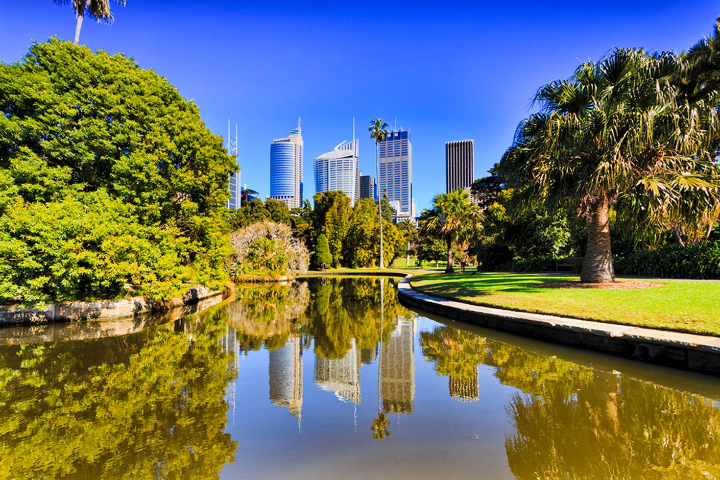 Places to visit in Sydney Botanical Garden