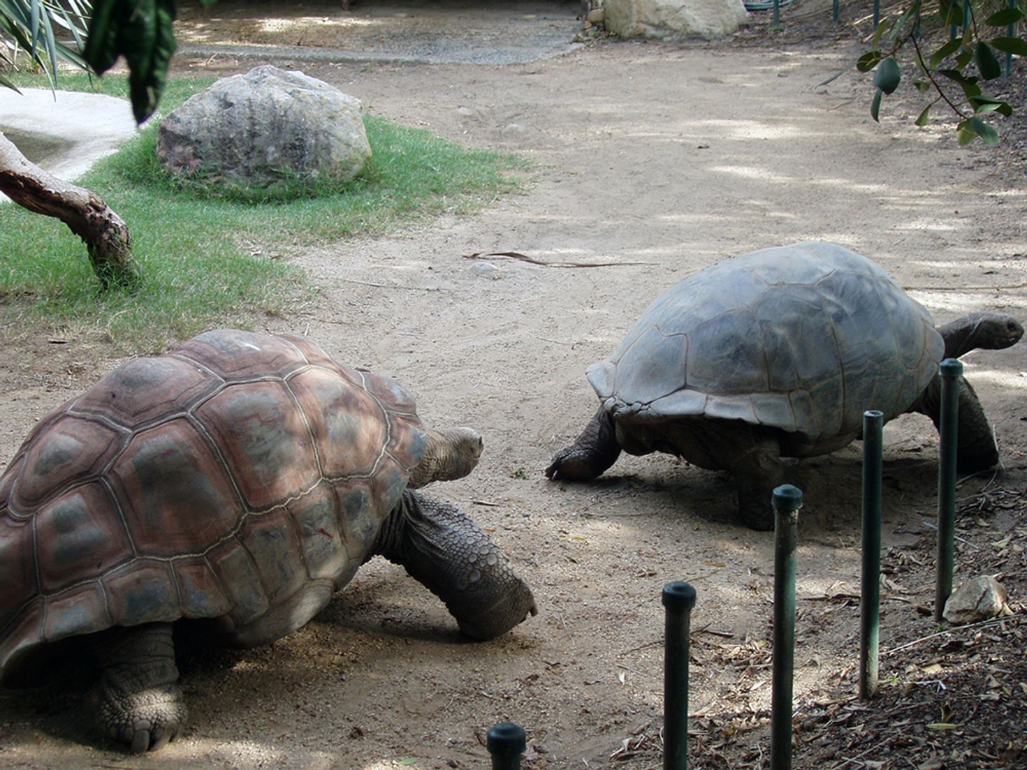 Places to visit in Sydney Taronga