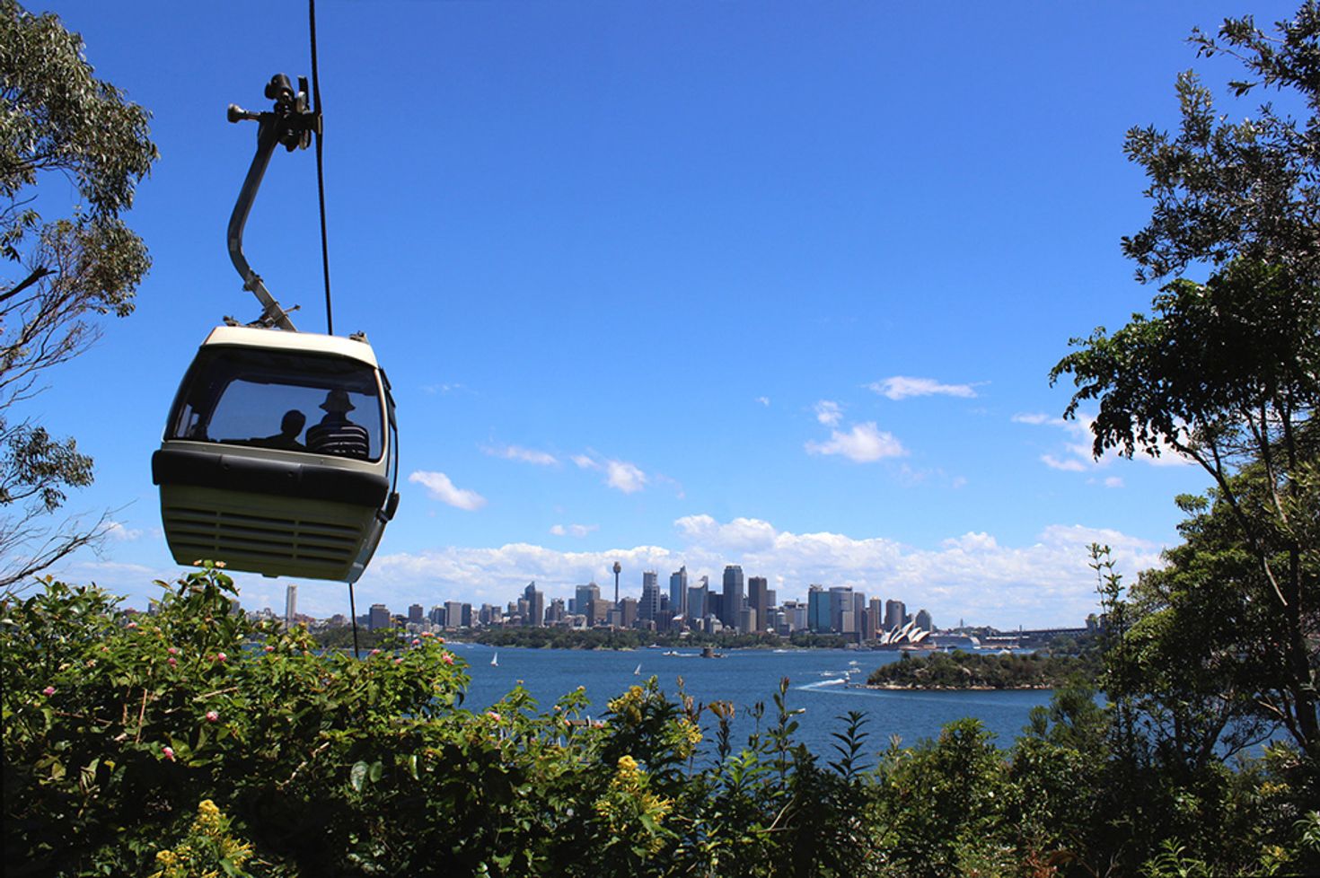 Places to visit in Sydney, Taronga Zoo