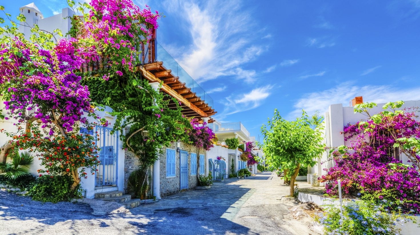 Visit Bodrum, a town covered in beautiful flowers.