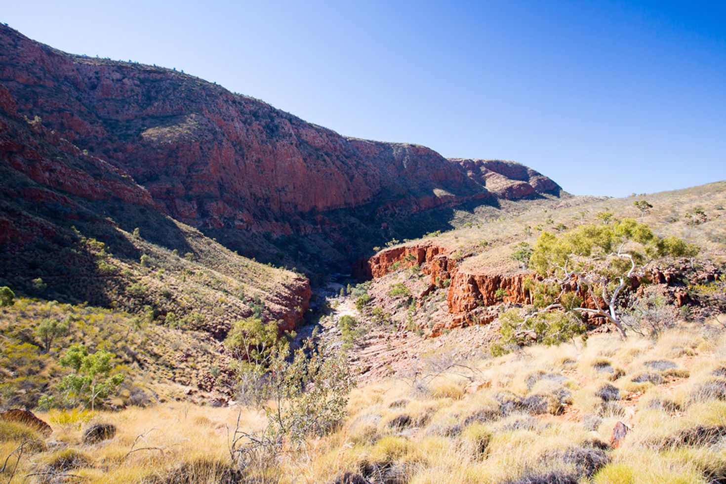 A visit to this park is the first thing to do in Alice Springs.