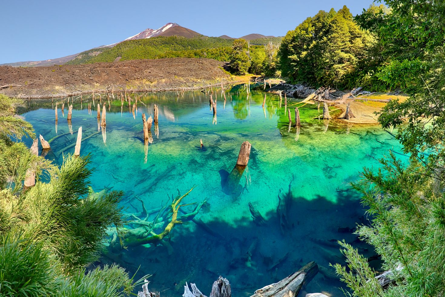Conguill&iacute;o National Park in Chile Lake District