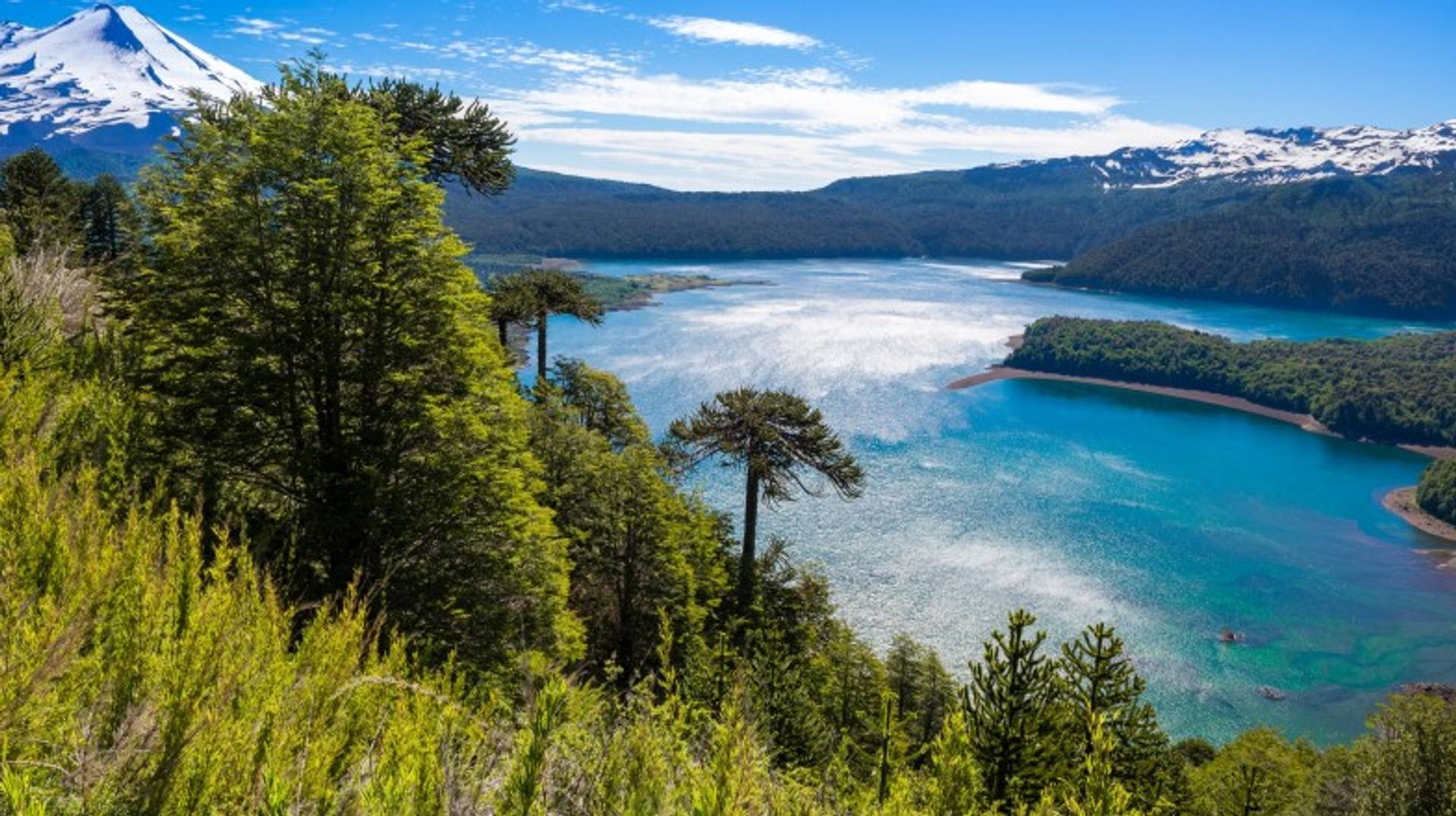 Top 8 Things to Do in Chile’s Lake District