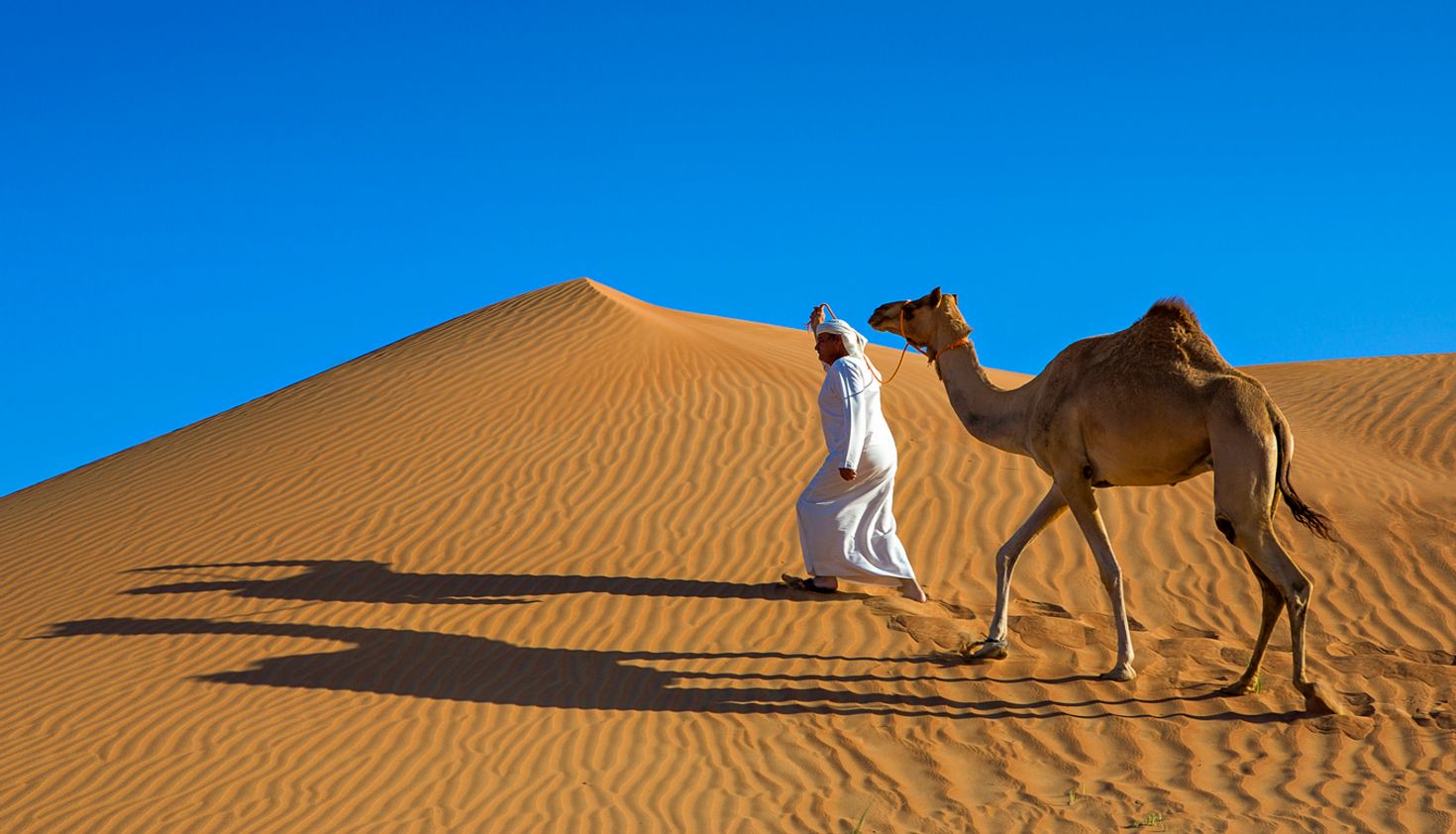 Things to do in Dubai camel riding