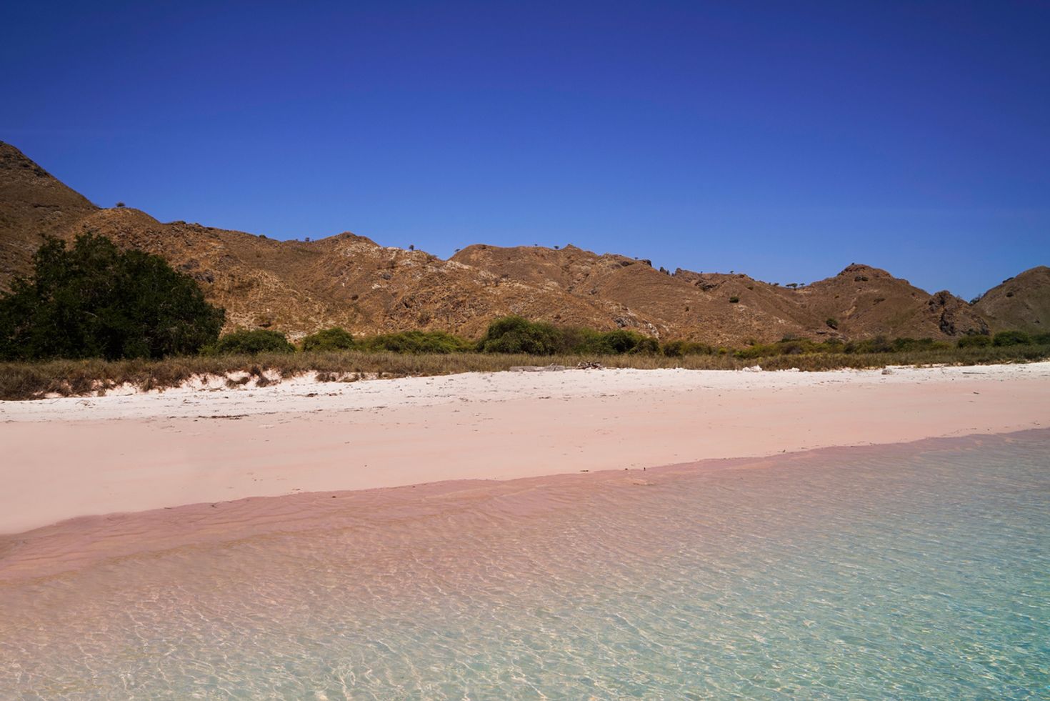 Pink beach is a famous Indonesia beach