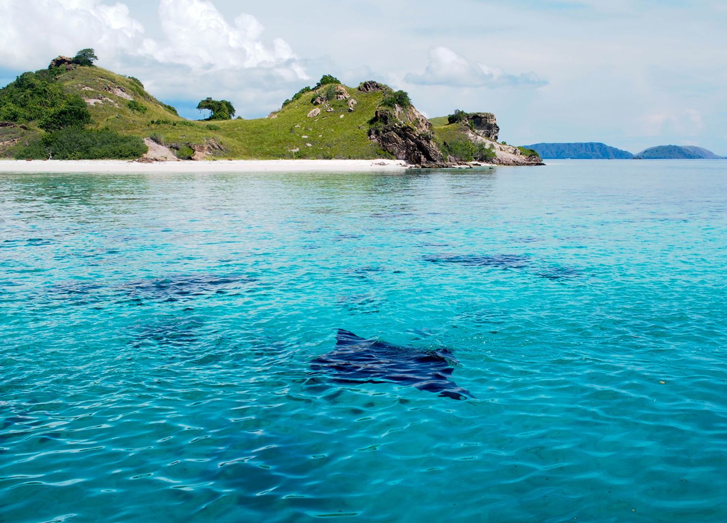 Manta Rays are popular attraction while visiting Komodo Island
