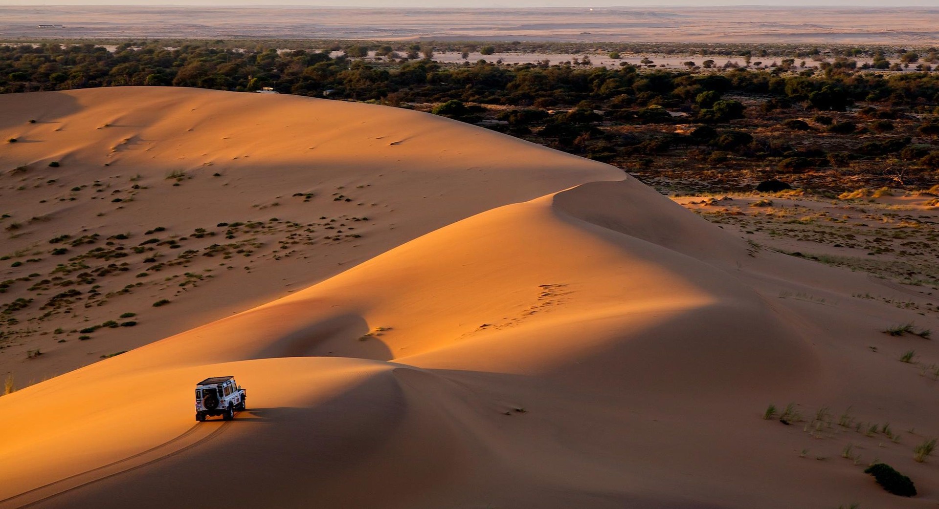Dubai Travel Guides