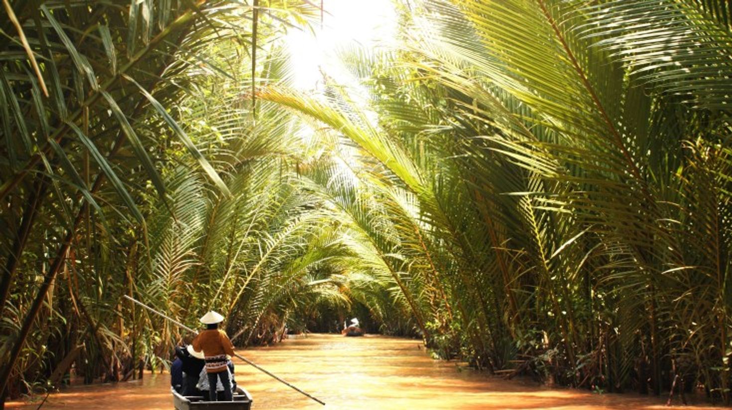 People boating in the Mekong Delta with greenery around them.