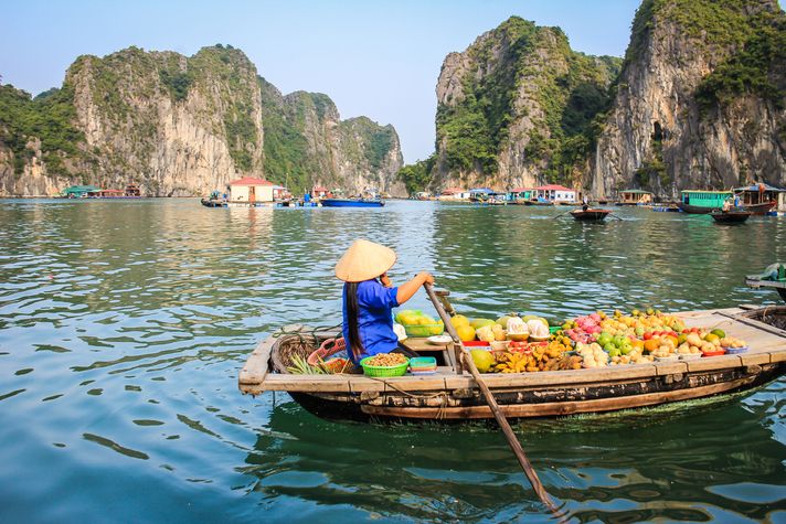5 days in vietnam is enough time to take a Halong Bay cruise.