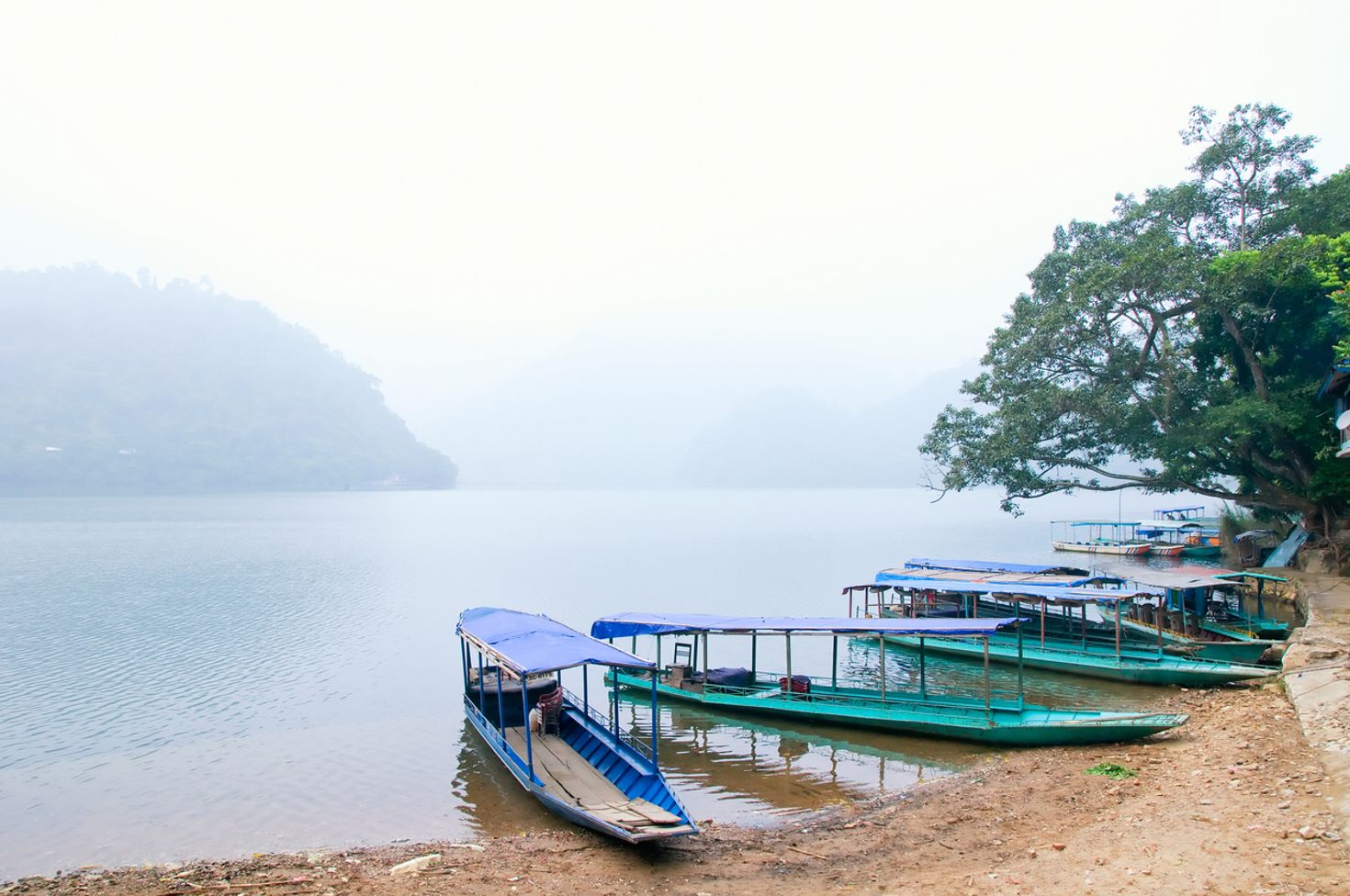 See boats on the shores of Ba Be Lake.