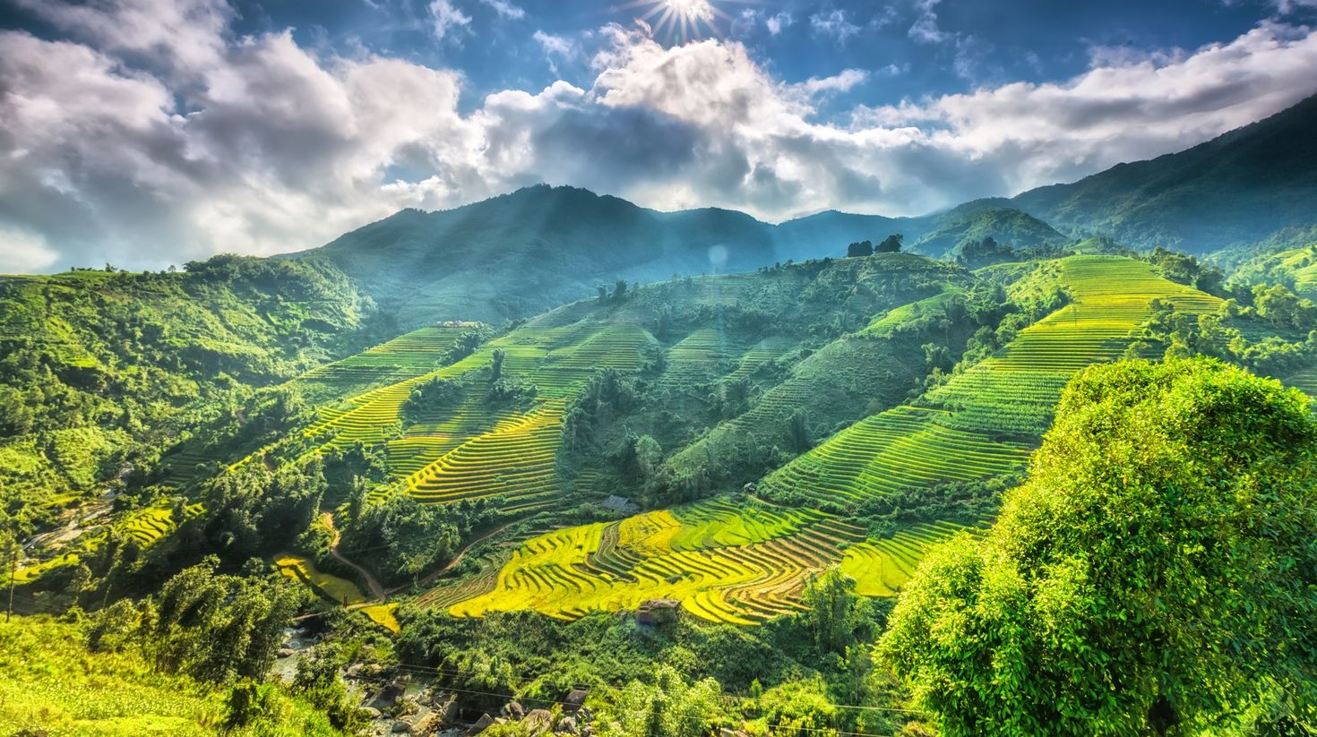 Green terraced hills at Sapa.
