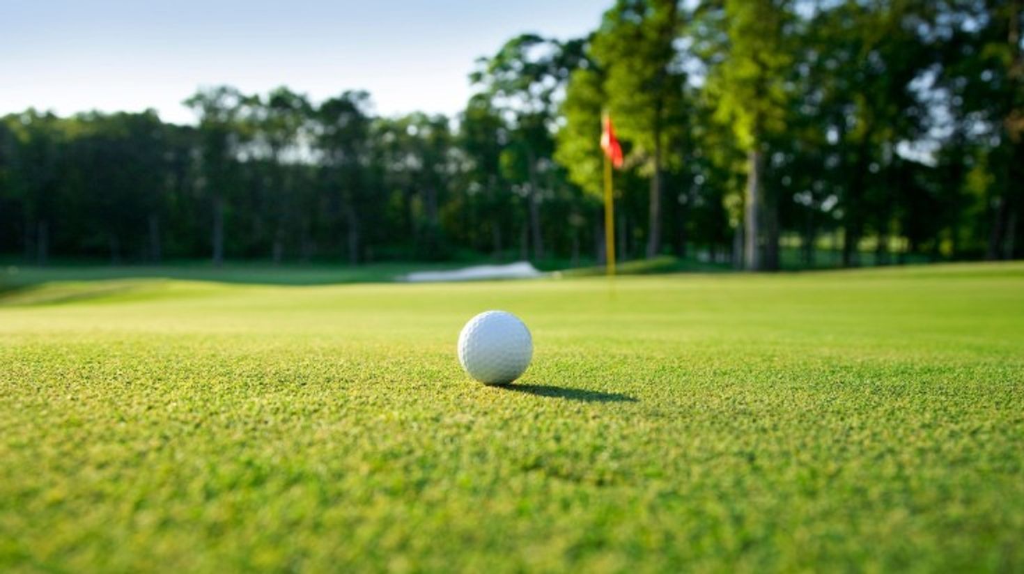 Golf ball sitting on the green with the flagstick in the background.