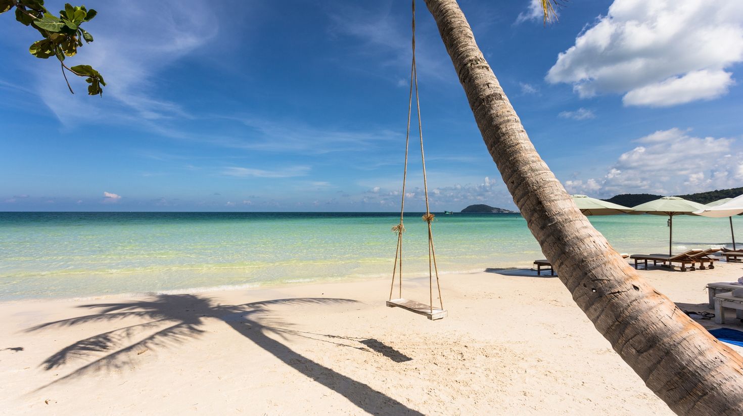 Swing attached to a palm tree on a beach you can visit in Vietnam in June.