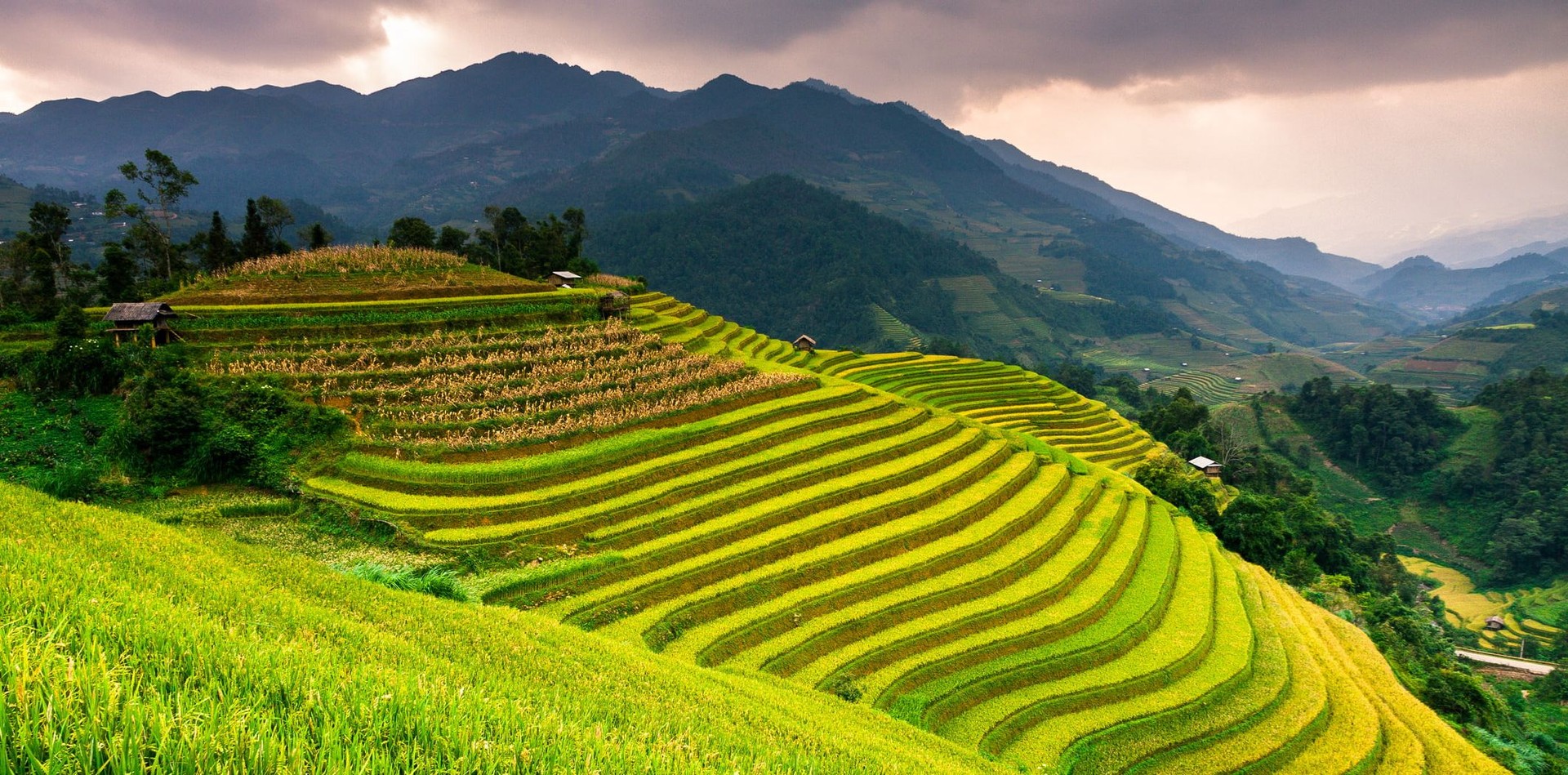 Vietnam Travel Advice
