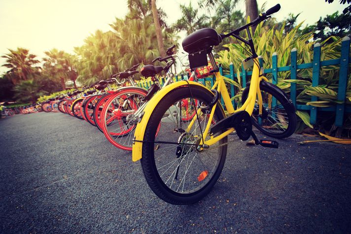 A colorful row of rented bicycles