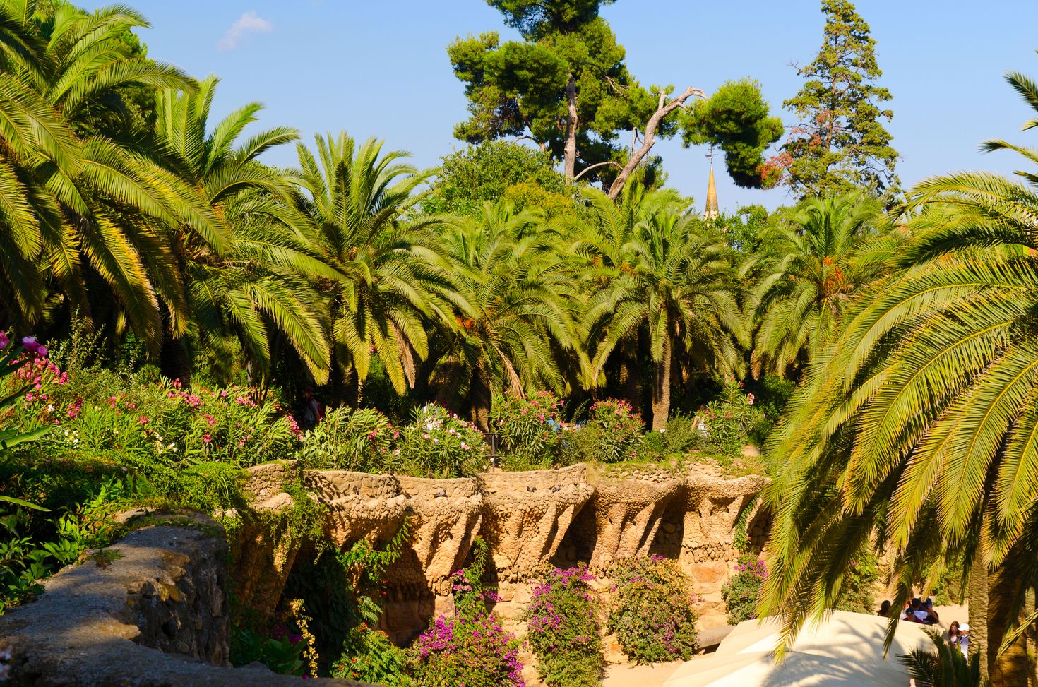 Free Access at Park Guell