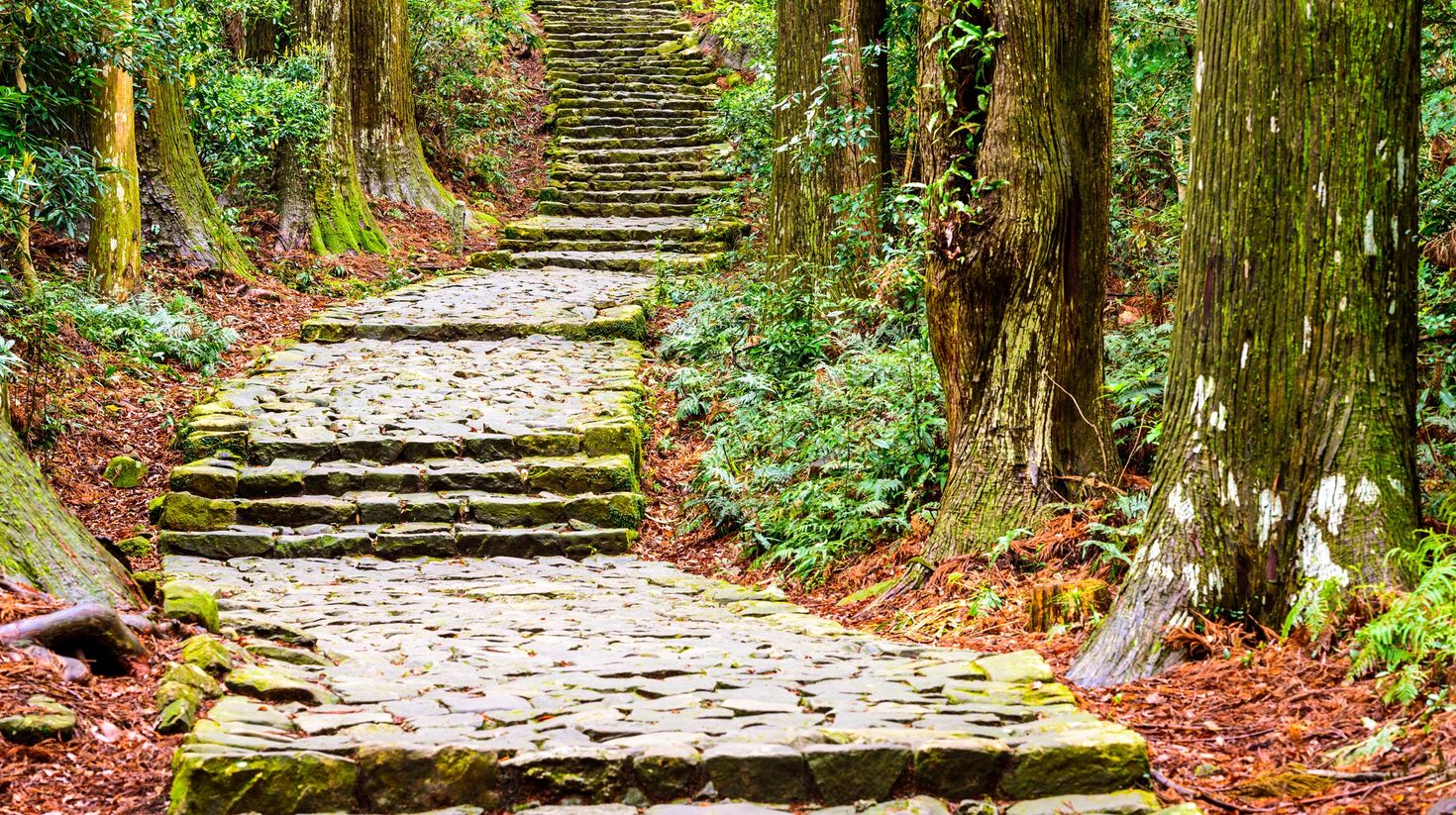 Steps of Omine Okugake trail of Kumano Kodo trail in Japan. 