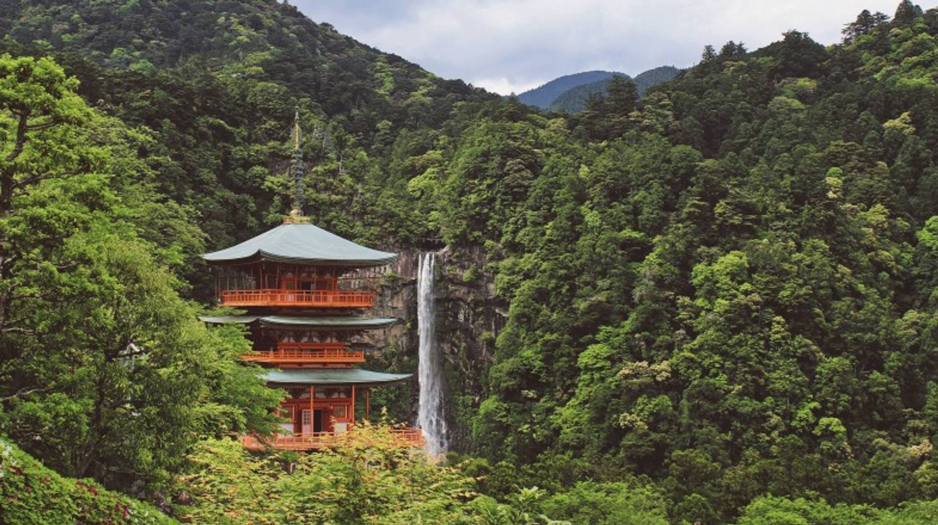 Walking the Kumano Kodo Trail: 5 Popular Routes