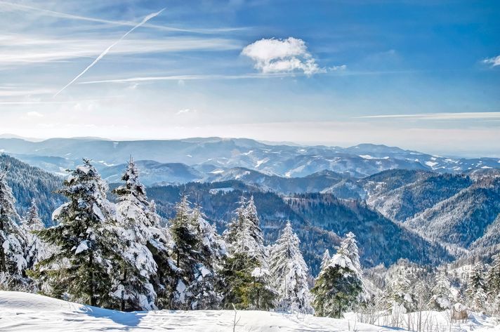 Vacation packages in Germany demands a visit to the Black Forest