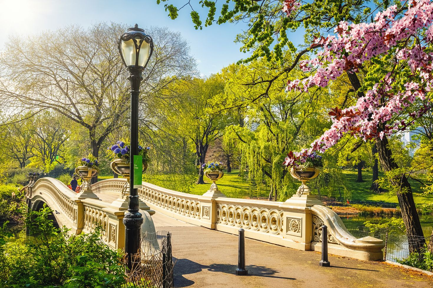 Things to do in New York Central Park