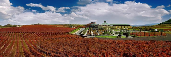 Vivanco Winery in La Rioja