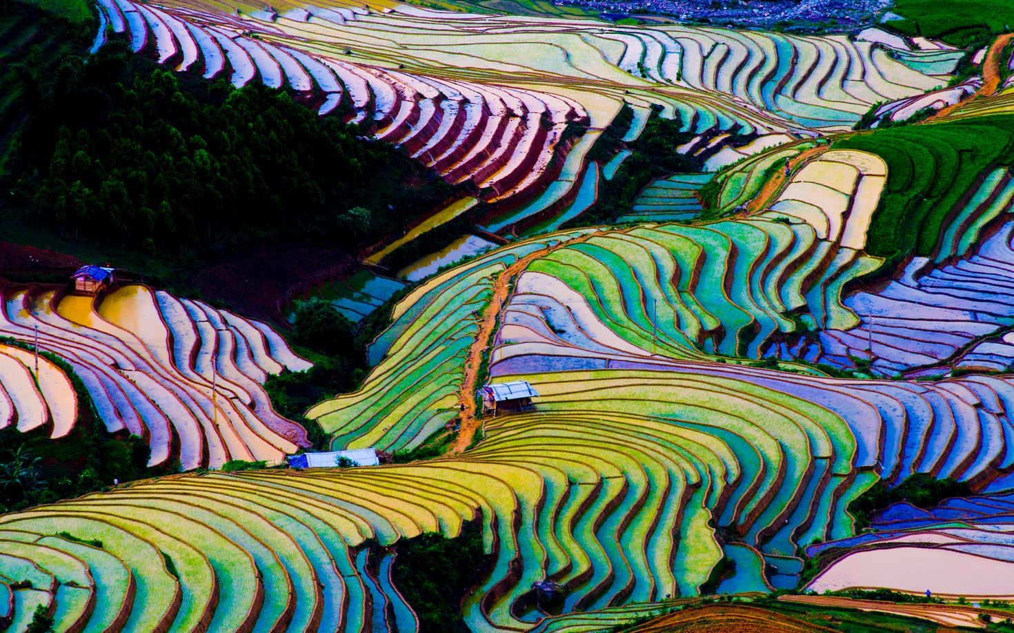 Flooded rice terrace in Yunnan province of China during winter