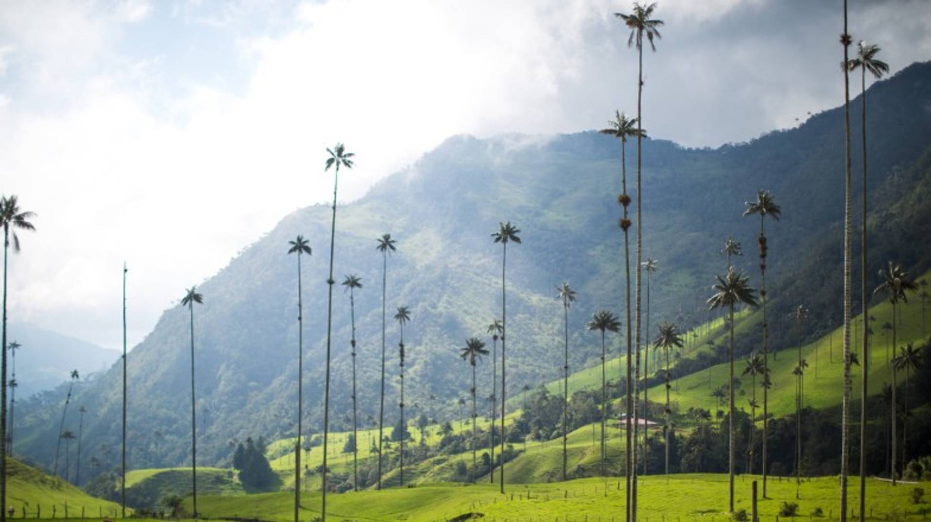 Winter in Colombia: Weather and Destinations to Visit