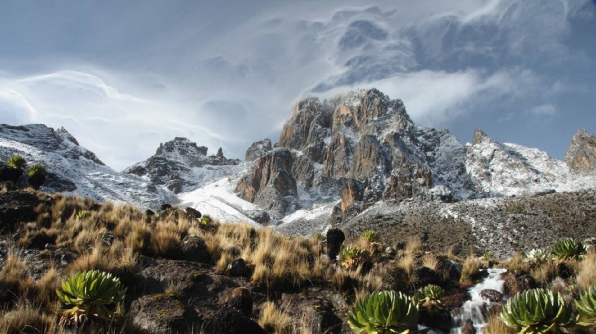 Winter in Kenya: Weather, Wildebeest Migrations and More!
