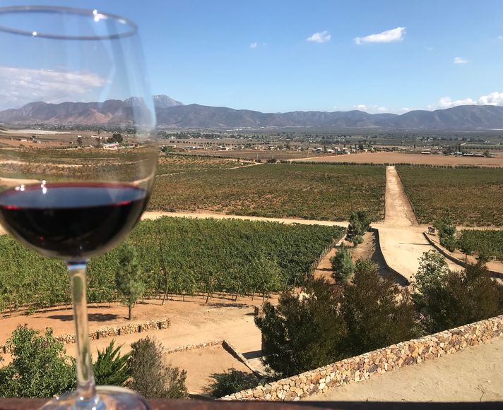 A glass of wine against the vineyards in Ensenada, Mexico