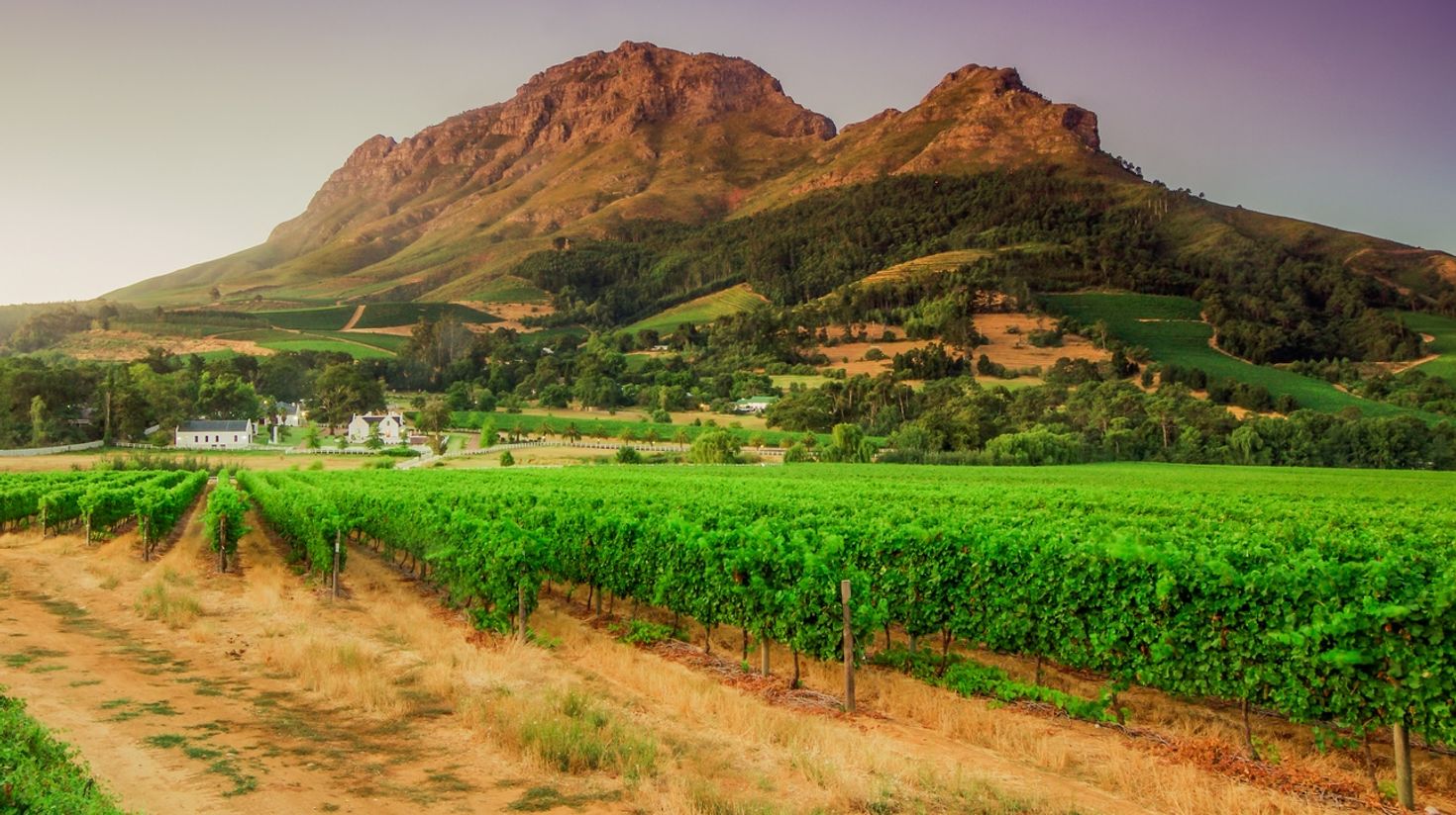 Stellenbosch is known for its rich culture, history and its wine routes.