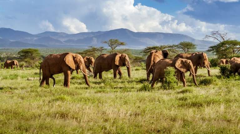 Winter in South Africa brings milder temperature, smaller crowds and cheaper rates making it a perfect time for safari.