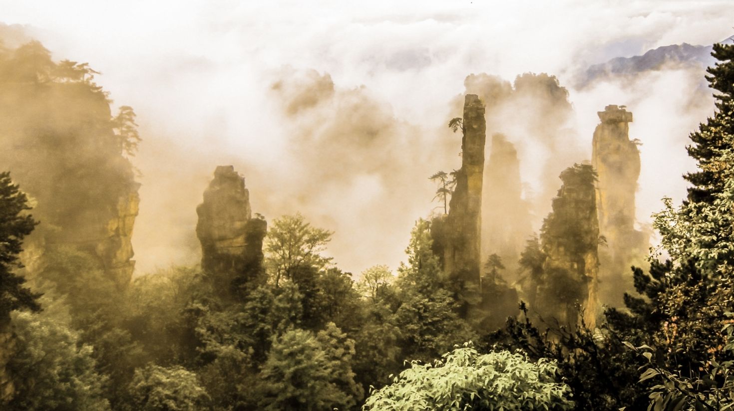 Zhangjiajie National Forest Park lies in the subtropical belt