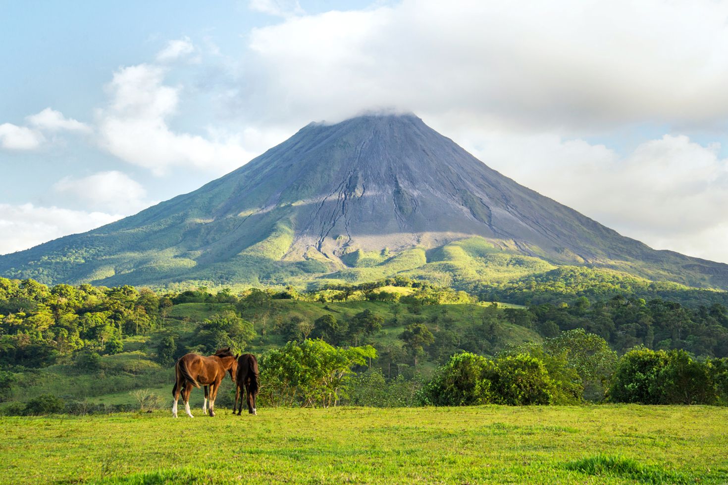 Ziplining in Costa Rica near the Arenal Volcano is a great experience
