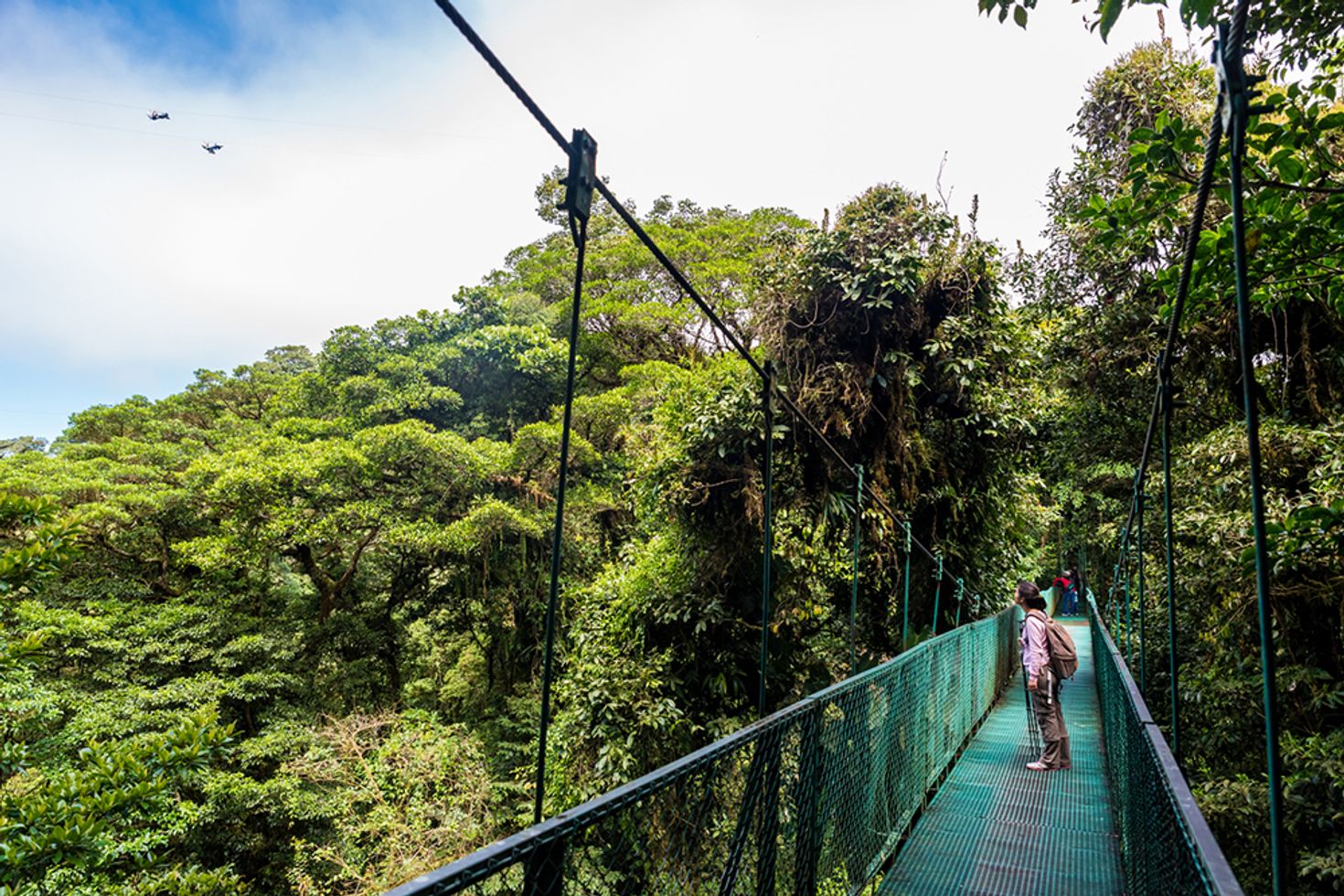 Ziplining in Costa Rica's cloud forests of Monteverde