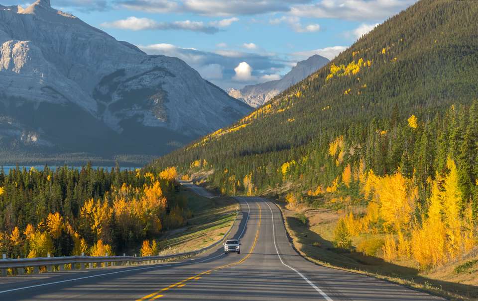 Air , road and transfers tours and trips