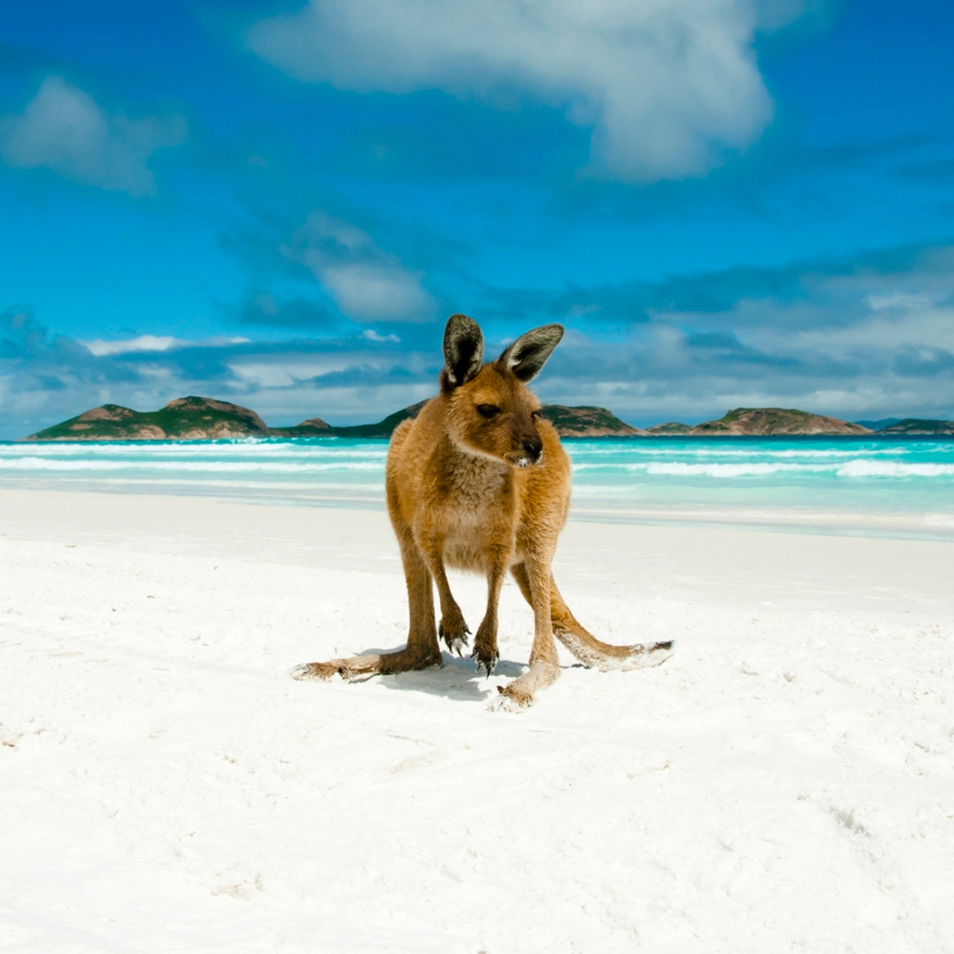 Australia tours and trips