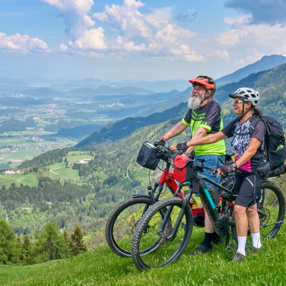Senior Travelers tours in Austria