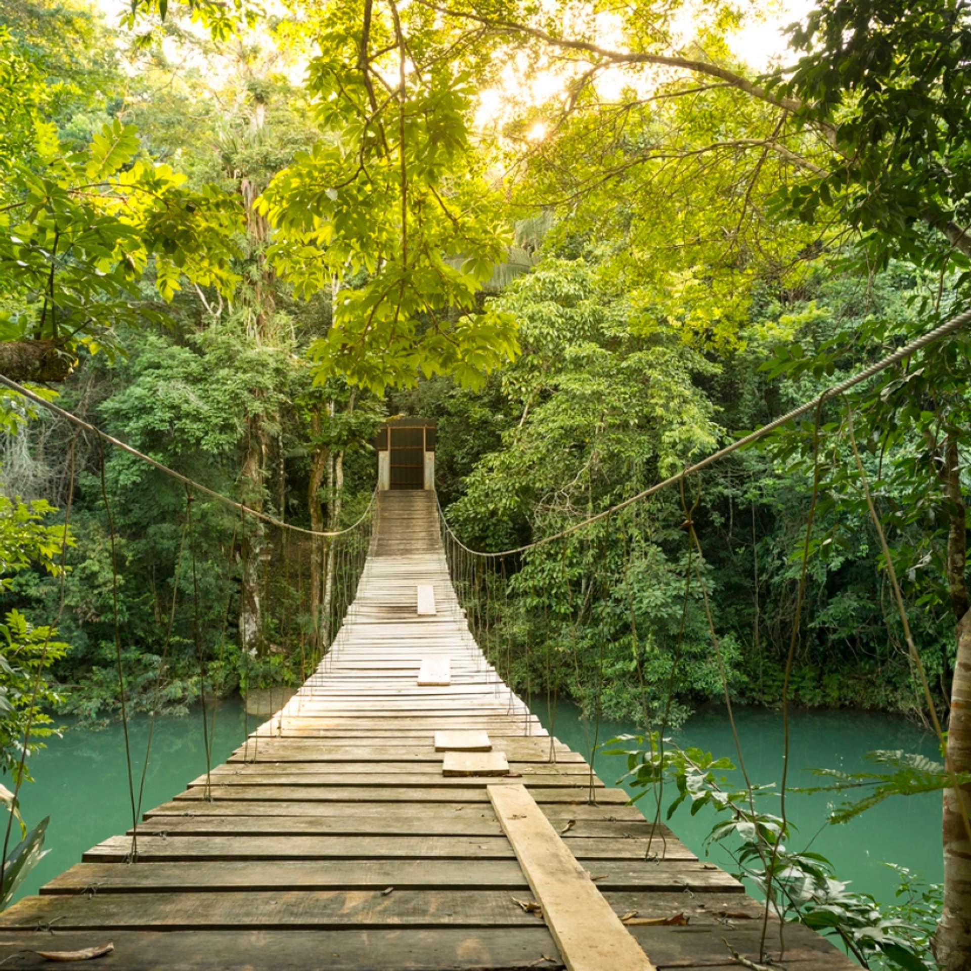 Belize Eco Tours