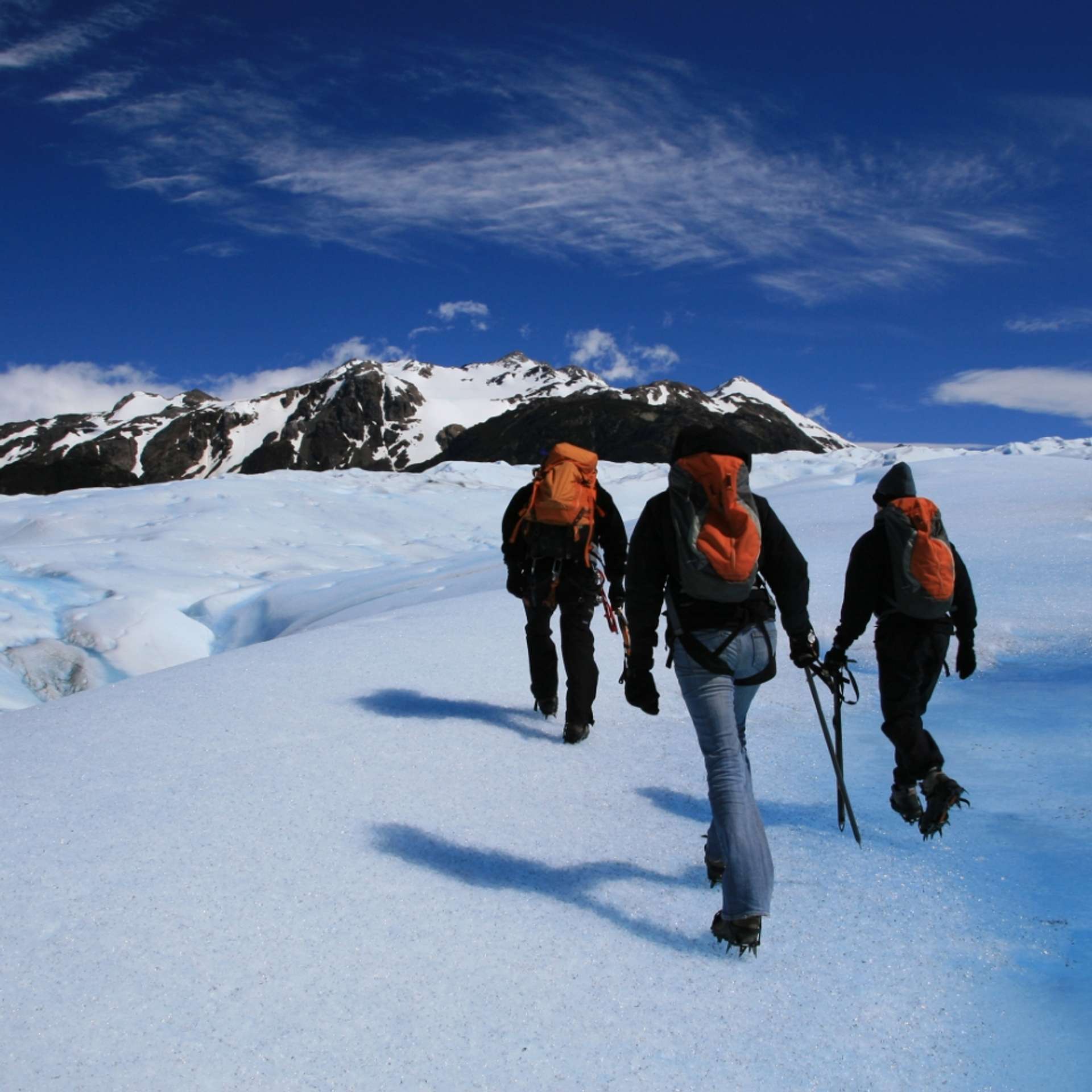 Group tours in Chile