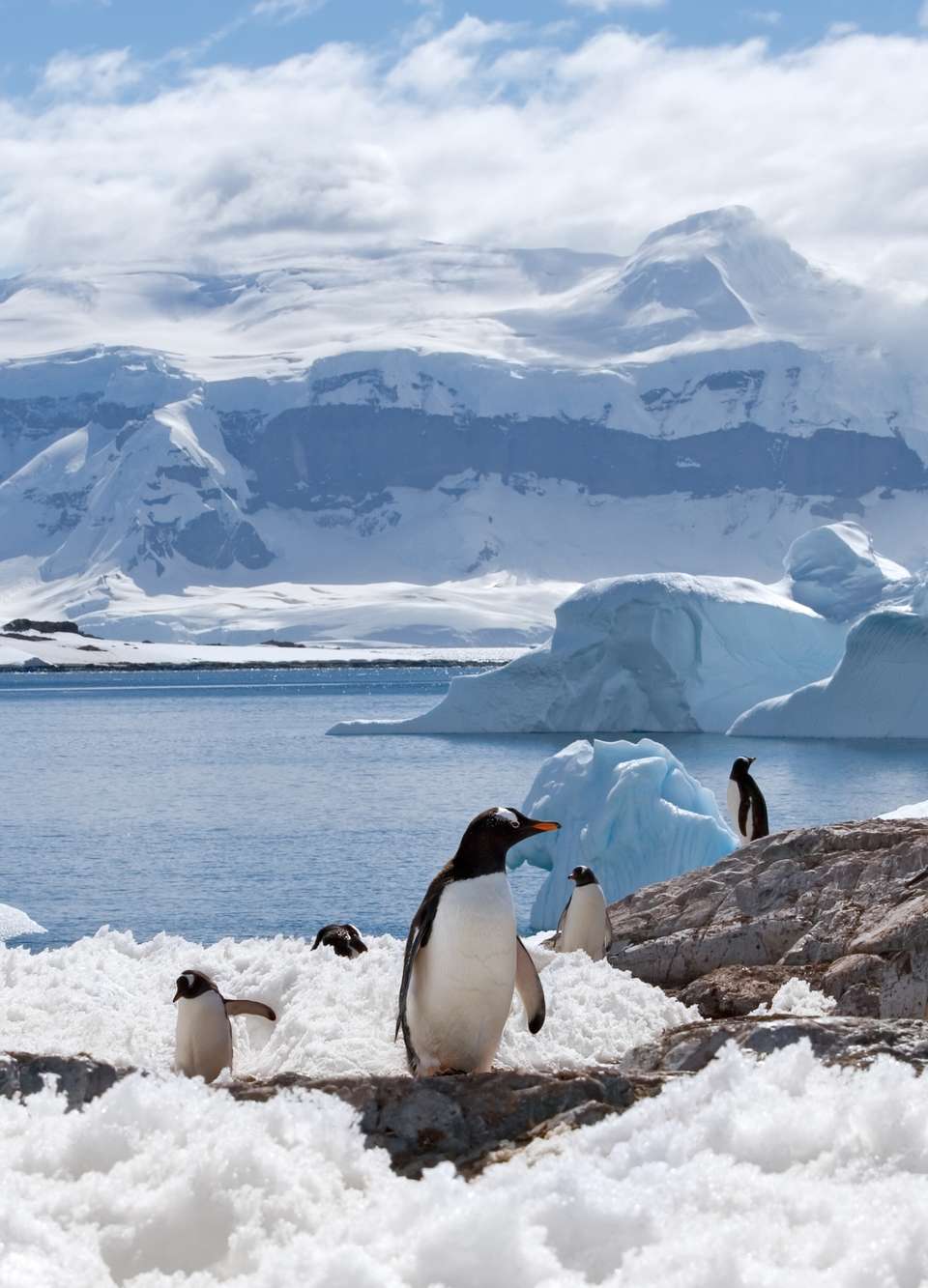 Group tours in Polar
