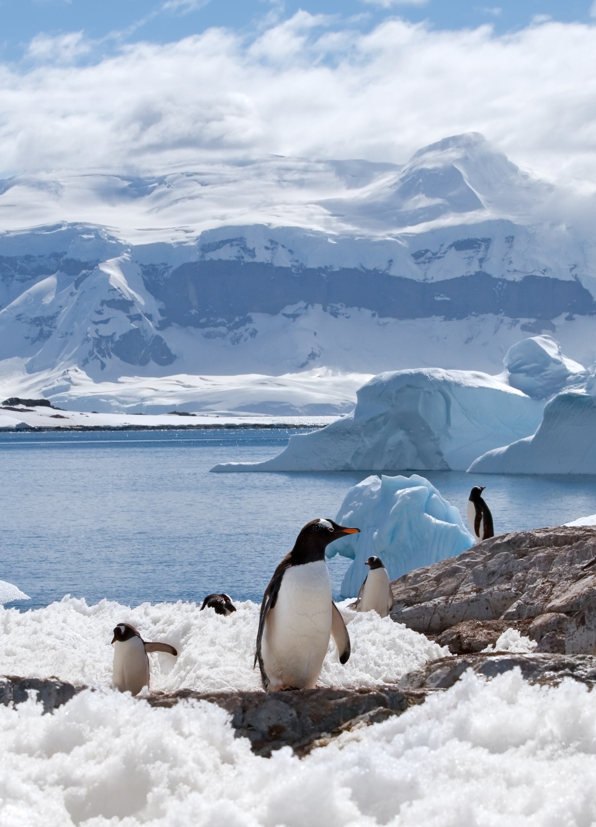 Polar tours and trips