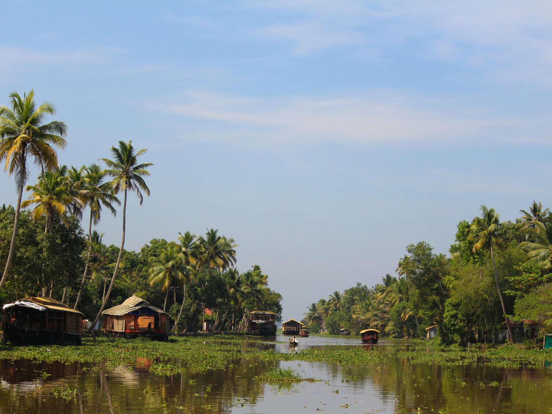 Tours and trips in Alleppey